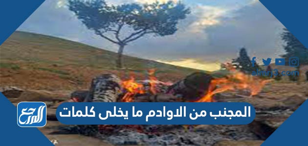 المجنب من الاوادم ما يخلى كلمات