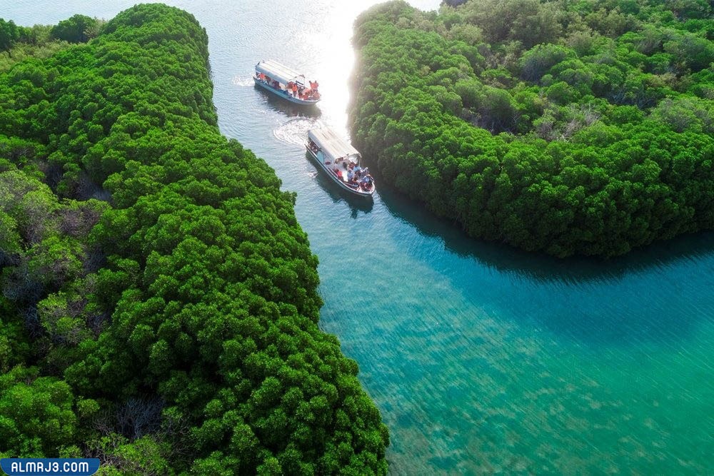 محمية جزر فرسان