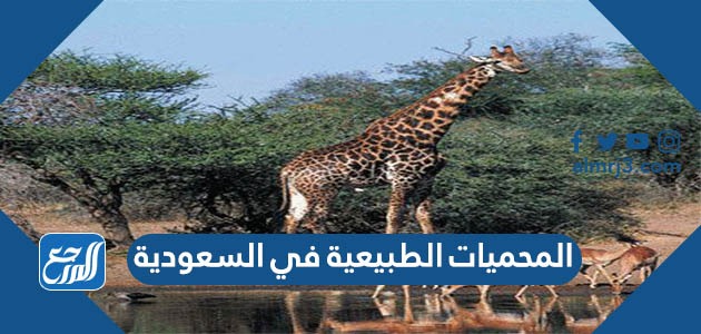 المحميات الطبيعية في السعودية