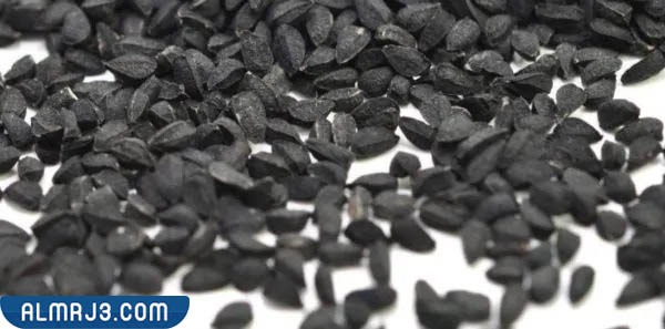 تجربتي مع عشبة الموميان