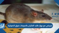 تجربتي مع جهاز طارد الفئران بالموجات فوق الصوتية