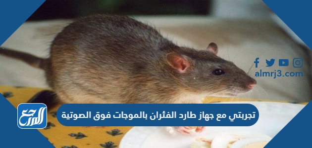 تجربتي مع جهاز طارد الفئران بالموجات فوق الصوتية