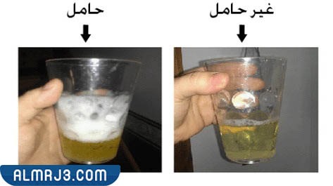 كيف اعرف اني حامل بالكلور