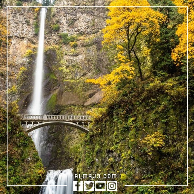 خلفيات طبيعية 2023