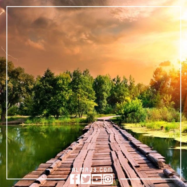 خلفيات طبيعية 2023