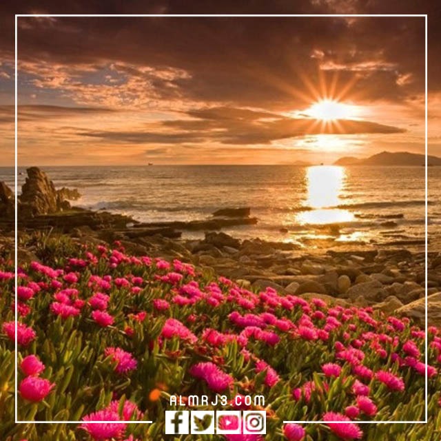 خلفيات مناظر طبيعية بجودة عالية 2023