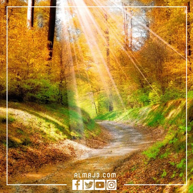 خلفيات مناظر طبيعية بجودة عالية 2023