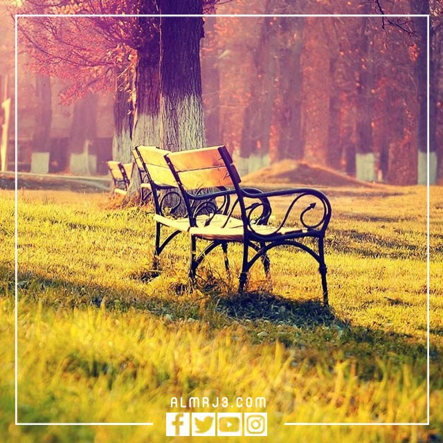 خلفيات مناظر طبيعية بجودة عالية 2023