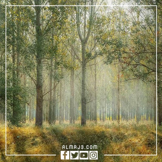 خلفيات مناظر طبيعية جميلة 2023