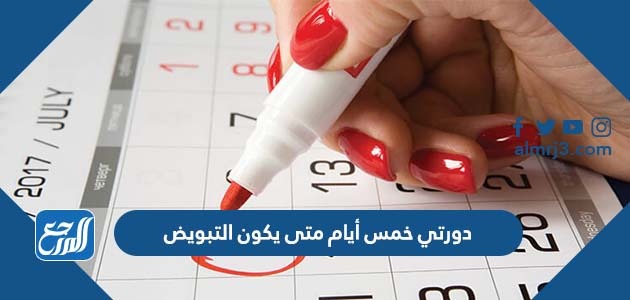 دورتي خمس أيام متى يكون التبويض