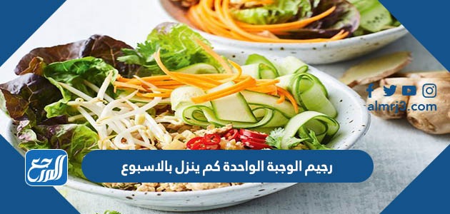 رجيم الوجبة الواحدة كم ينزل بالاسبوع