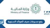 كيفية رفع مسوغات صرف العوائد السنوية وزارة المالية