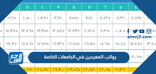 رواتب المعيدين في الجامعات الخاصة