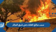 سبب حرائق الغابات في شرق الجزائر 2022