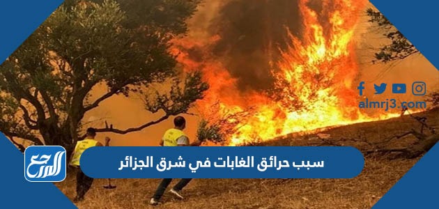 سبب حرائق الغابات في شرق الجزائر 2022