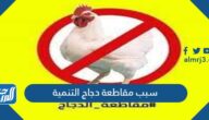 سبب مقاطعة دجاج التنمية في السعودية