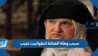 سبب وفاة الفنانة انطوانيت نجيب