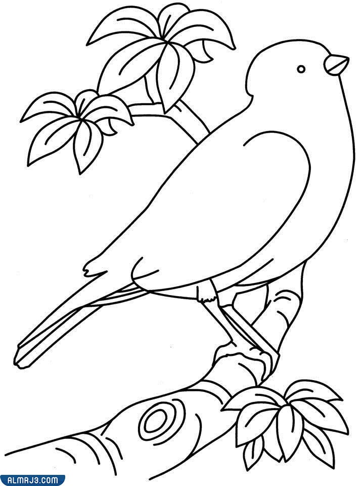 صور تلوين شخصيات كرتون جميلة للطباعة للأطفال