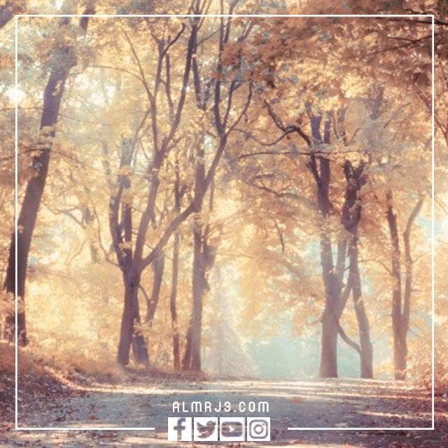 صور خلفيات جميلة مناظر طبيعية بجودة عالية