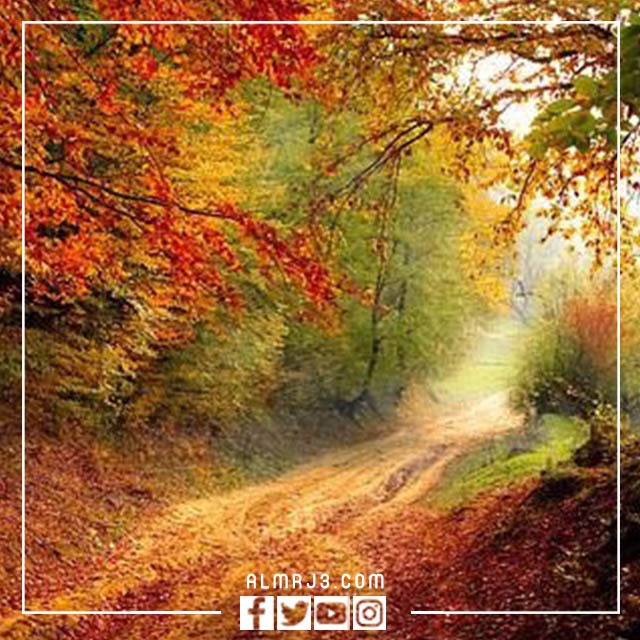 صور طبيعية خلفيات عالية الجودة اكثر من رائعة