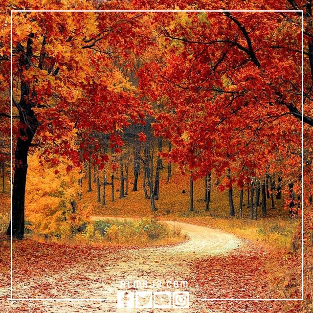 صور طبيعية خلفيات عالية الجودة اكثر من رائعة