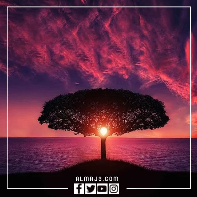 صور طبيعية خلفيات عالية الجودة اكثر من رائعة