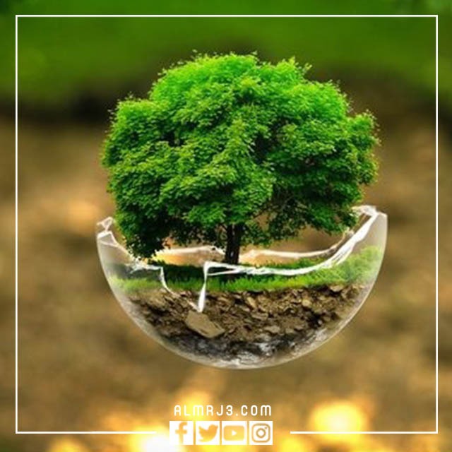 صور طبيعيه 2023 جميلة جدا