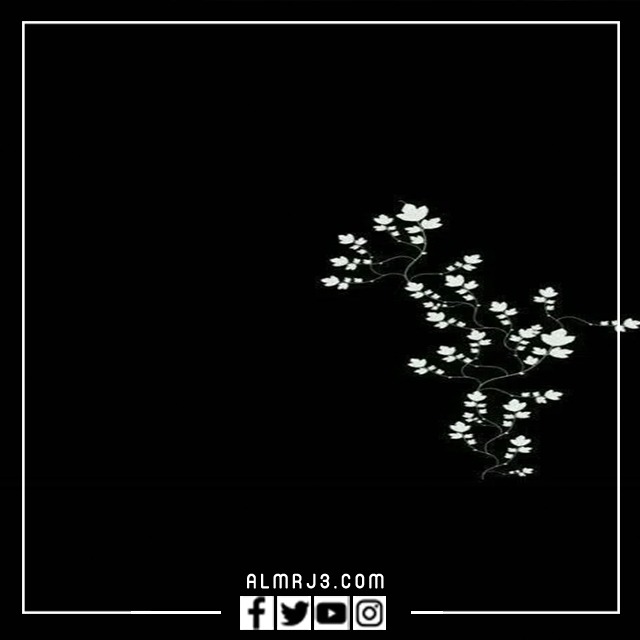 صور مكتوب عليها الحساب مغلق للراحه النفسية (40)