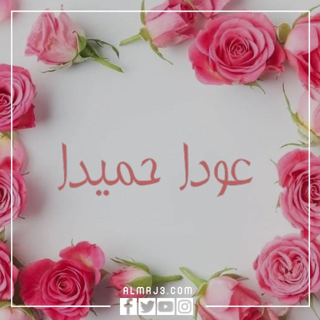 صور مكتوب عليها عودا حميدا للمدارس