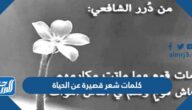 صور وكلمات شعر قصيرة عن الحياة
