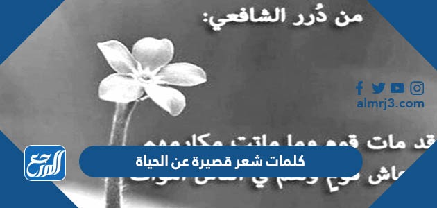 صور وكلمات شعر قصيرة عن الحياة
