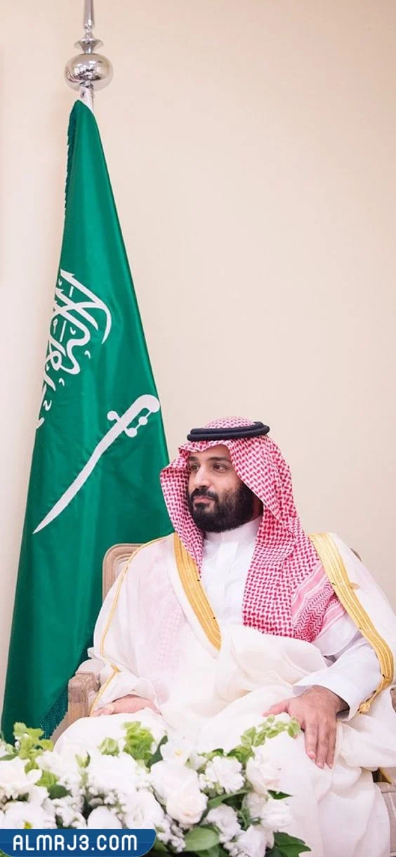 صور ولي العهد محمد بن سلمان
