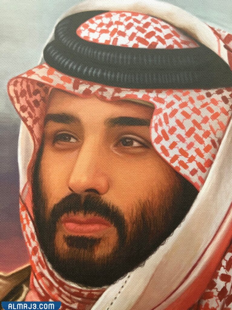 صور ولي العهد محمد بن سلمان