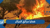 كم عدد ضحايا حرائق الجزائر 2022