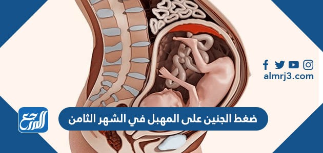 ضغط الجنين على المهبل في الشهر الثامن