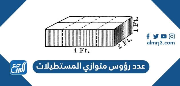 كم عدد رؤوس متوازي المستطيلات كم عدد رؤوس متوازي المستطيلات
