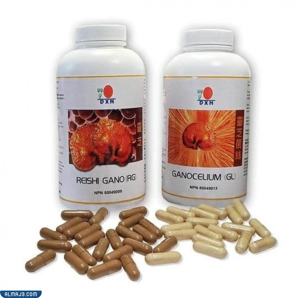 فوائد استخدام كبسولات الفطر الريشي