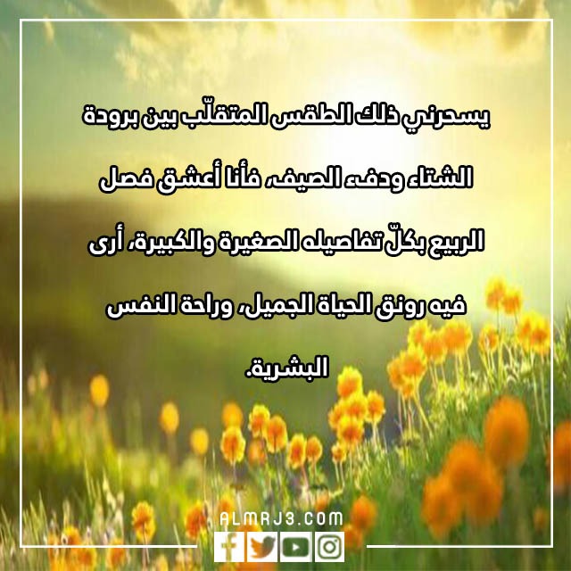 كلام عن الجو الحلو