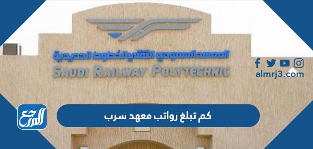 كم تبلغ رواتب معهد سرب