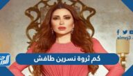 كم ثروة نسرين طافش