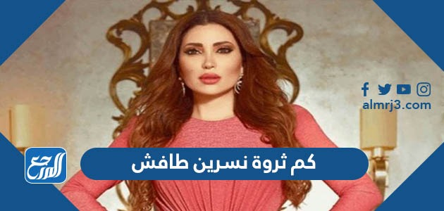 كم ثروة نسرين طافش