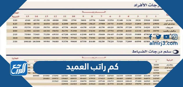 كم راتب العميد