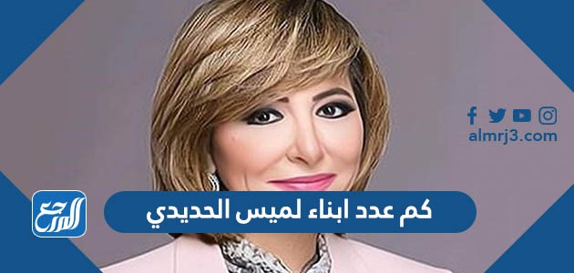 كم عدد ابناء لميس الحديدي