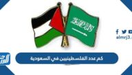 كم عدد الفلسطينيين في السعودية 2025