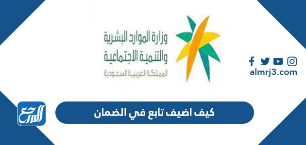 كيف اضيف تابع في الضمان