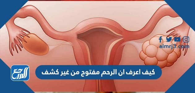 كيف اعرف ان الرحم مفتوح من غير كشف