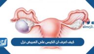 كيف اعرف ان الكيس على المبيض نزل