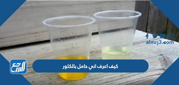 كيف اعرف اني حامل بالكلور