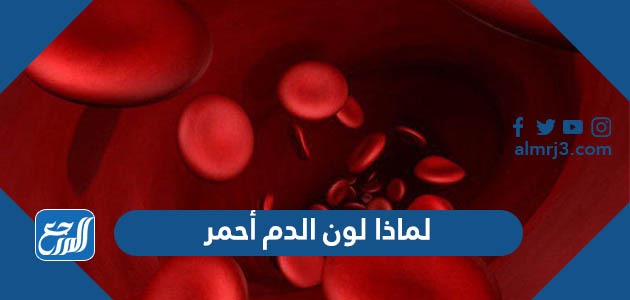 لماذا لون الدم أحمر والعروق زرقاء