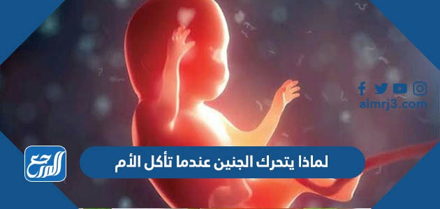 لماذا يتحرك الجنين عندما تأكل الأم